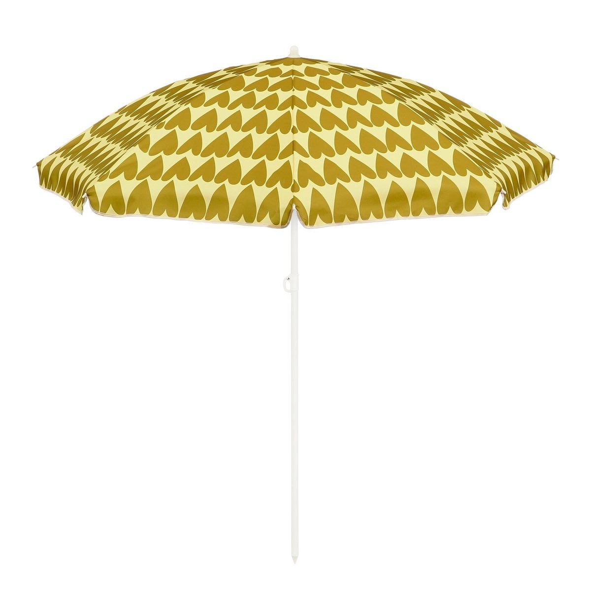 Parasol  Bruin