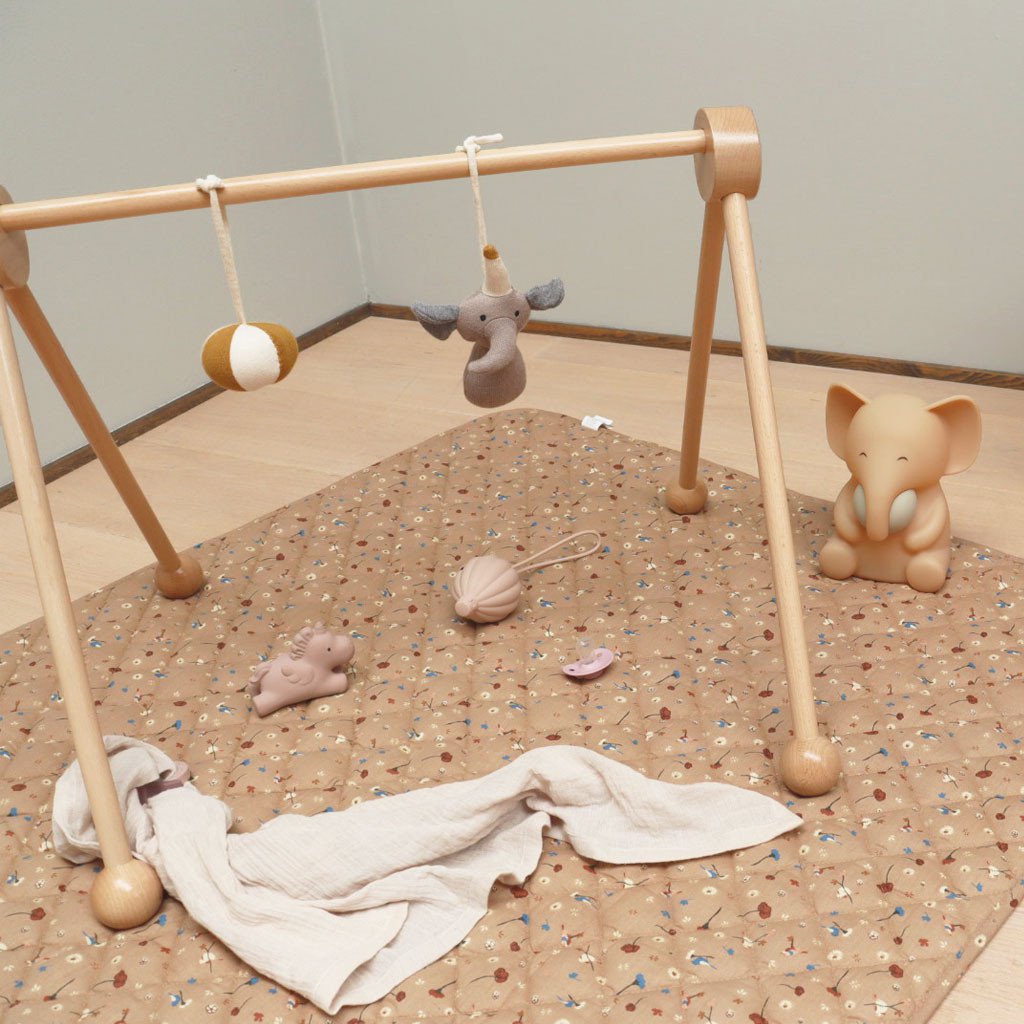 Ini gewatteerde speelmat Vogel