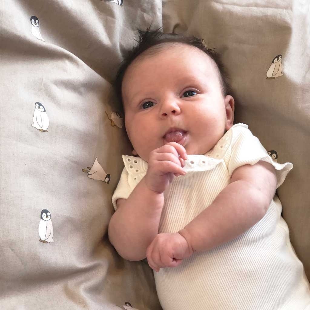 Lee Beddengoed Pinguin baby
